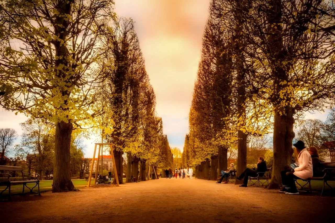 De 5 gratis udendørs fitnessparker i København