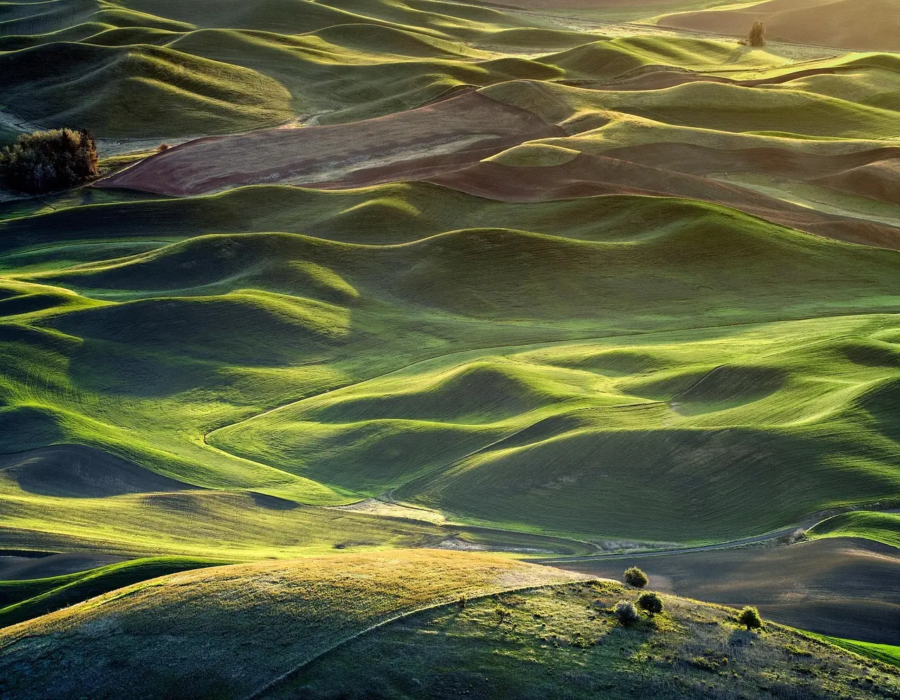 Medvirkende i The Equalizer 2